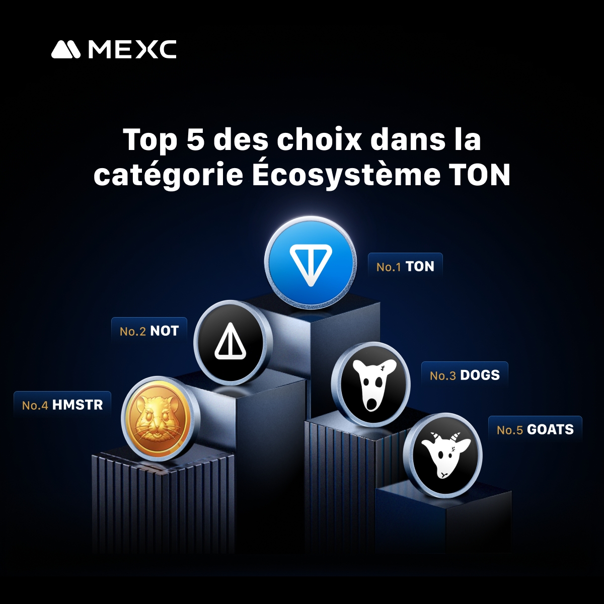 MEXCFrancophone's tweet image. 😀 Top 5 des choix dans la catégorie Écosystème TON ! 📈

🚀 #MEXC vous présente les projets les plus en vogue de l'écosystème TON :

🥇 $TON/USDT 
🥈 $NOT/USDT 
🥉 $DOGS/USDT 
🏅 $HMSTR/USDT 
🏅 $GOATS/USDT 

📈 L' écosystème TON regorge d'innovations et est prêt pour une…