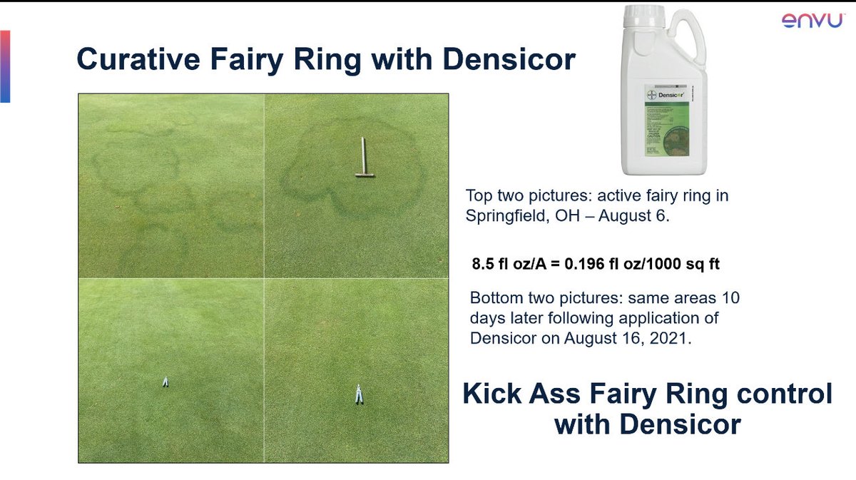 Brian Giblin tweet media