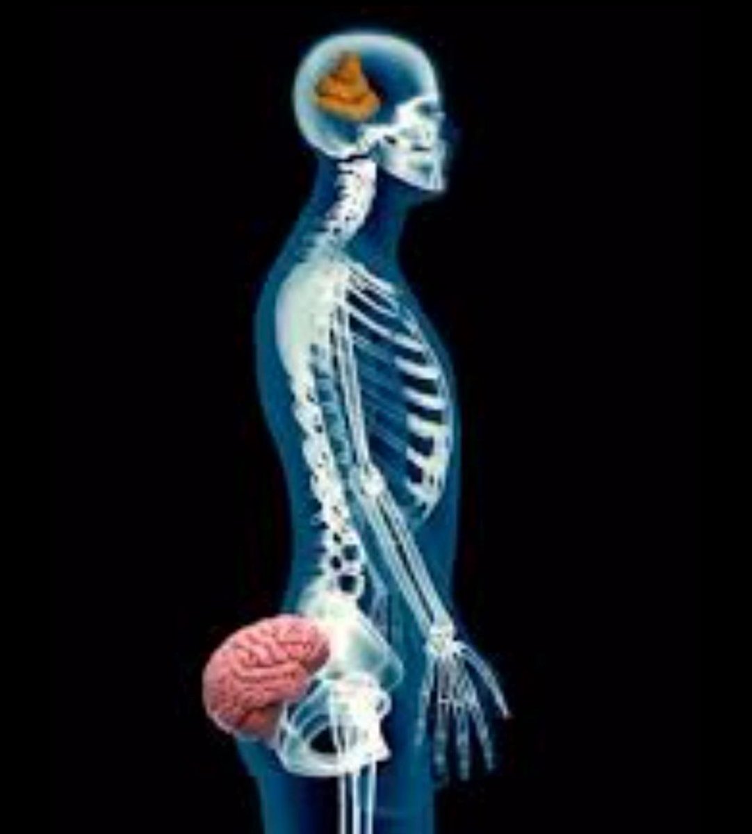 𝐵𝒶𝓎𝑒𝓇𝓃 𝑀𝓊𝓃𝒾𝒸𝒽 tweet media