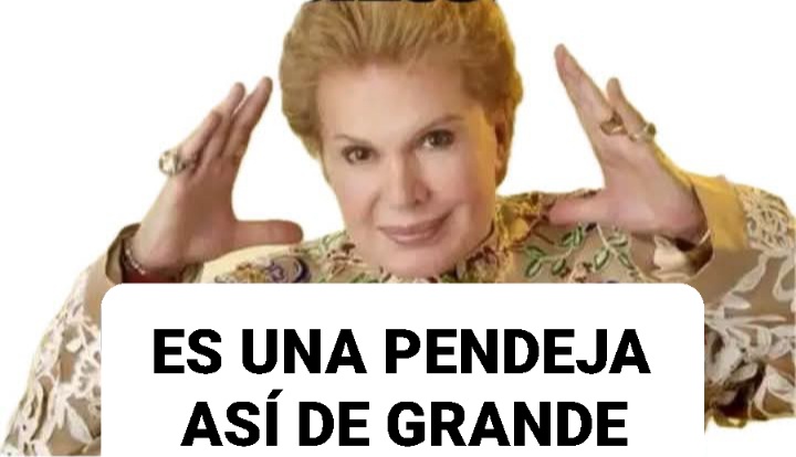 ALICIASOBRADOG's tweet photo. @CarlosTorresF_ CONFIANZA NACIONAL CIUDADANA 
A ver ilusa y mentirosa @LuisaAlcalde , ven a la Magdalena Contreras para taparte la boca. https://t.co/gHmreBoTED
