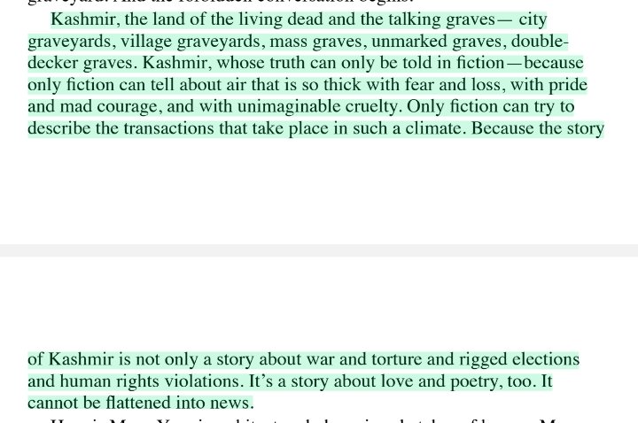 Arundhati Roy, Azadi