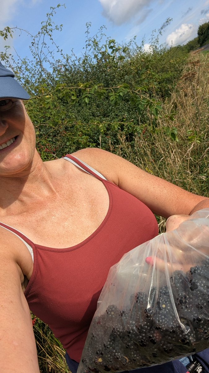 NotBadForHerAge's tweet image. First #blackberry picking session of the season was a success 😀😊