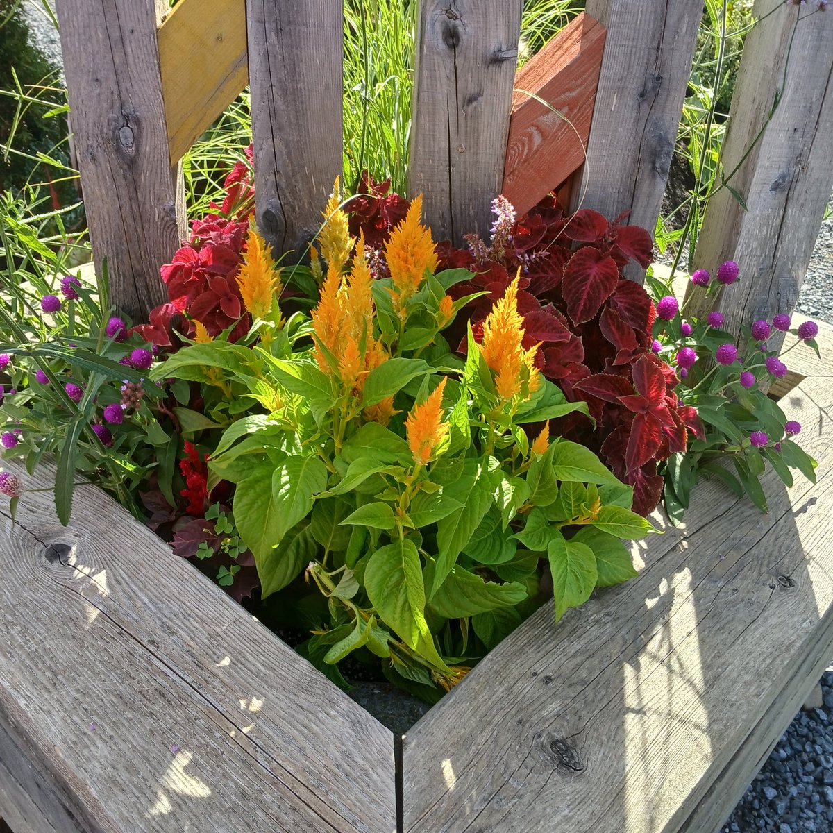 $0 in 2 days for our Iman and her kids - Hala, Rosa, Ahmed, Saeb, and Mohammad who need daily support to survive.

I'm adding €5 to every single d0nation.

Give your help a boost!

D0nate to this treasured family.
gofund.me/6fc5b3fe

#Mutualaidboost #Gaza #GazaGenocide