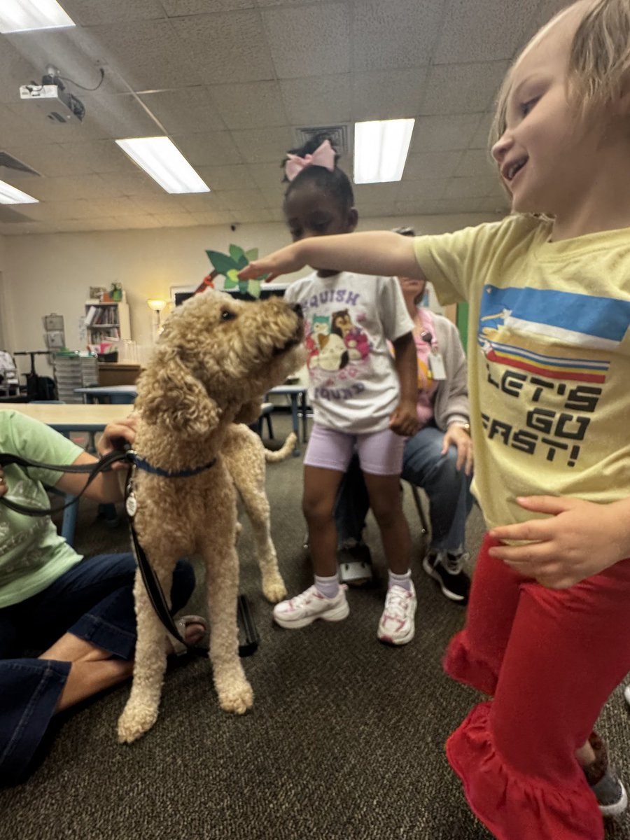 LittlesRaHoot's tweet photo. Canine Counselor Cooper stopped by to say welcome back little owls! #AllMeansAll #everychildeveryday @HumbleISD_OE @kimboUNT https://t.co/EkGM1YwvKH