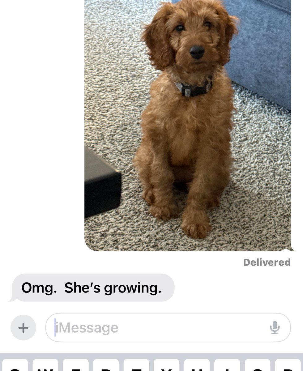 My hog is growing too Grandma