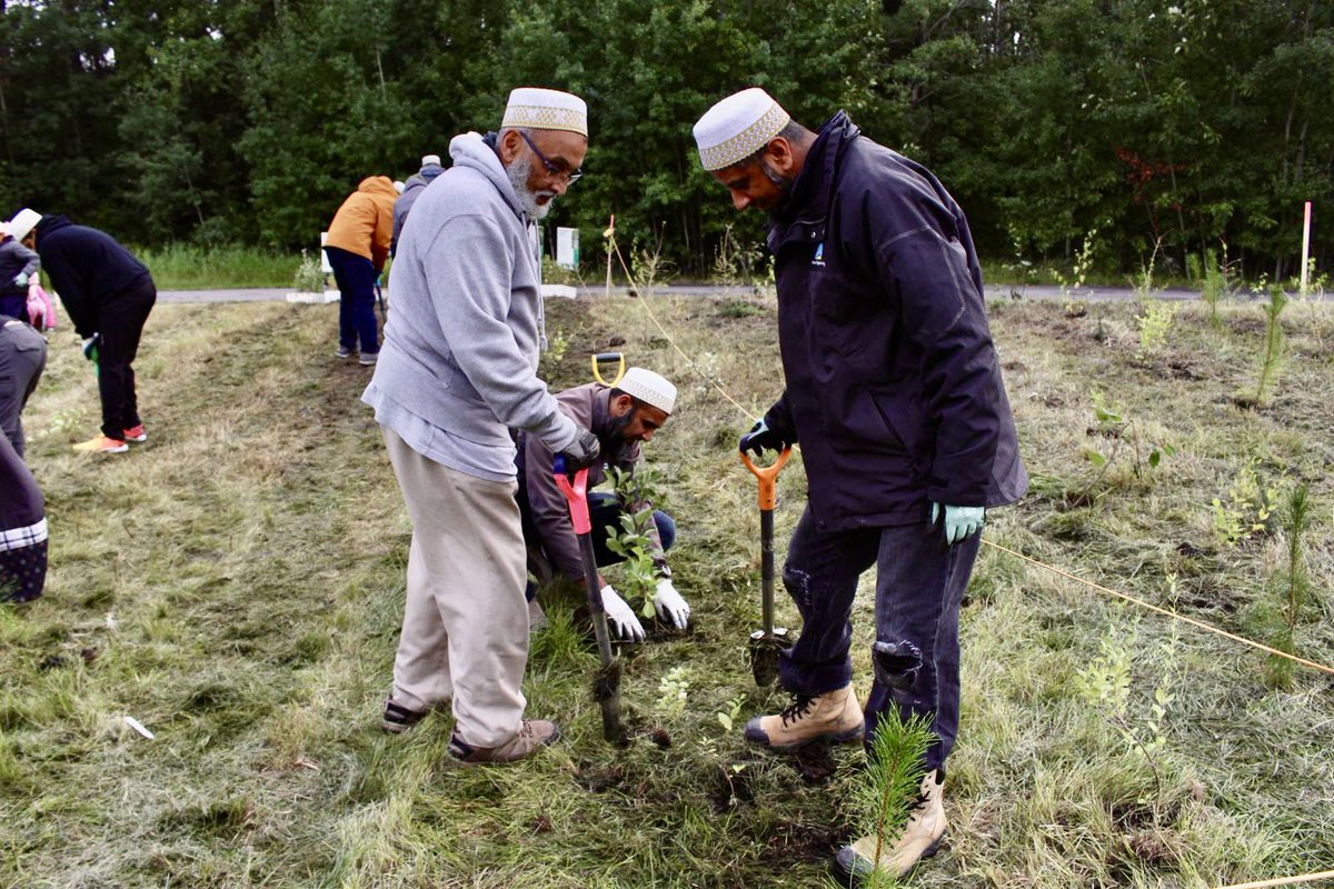 We had a wonderful time joining <a href="/CityofEdmonton/">City of Edmonton</a>’s Root for Trees program 🌱. <a href="/ProjectRiseDB/">Project Rise</a> volunteers of our #Edmonton #DawoodiBohra community learned about the City’s naturalization efforts while planting 100+ trees and 50+ shrubs &amp; flowers in a protected Chappelle ravine.