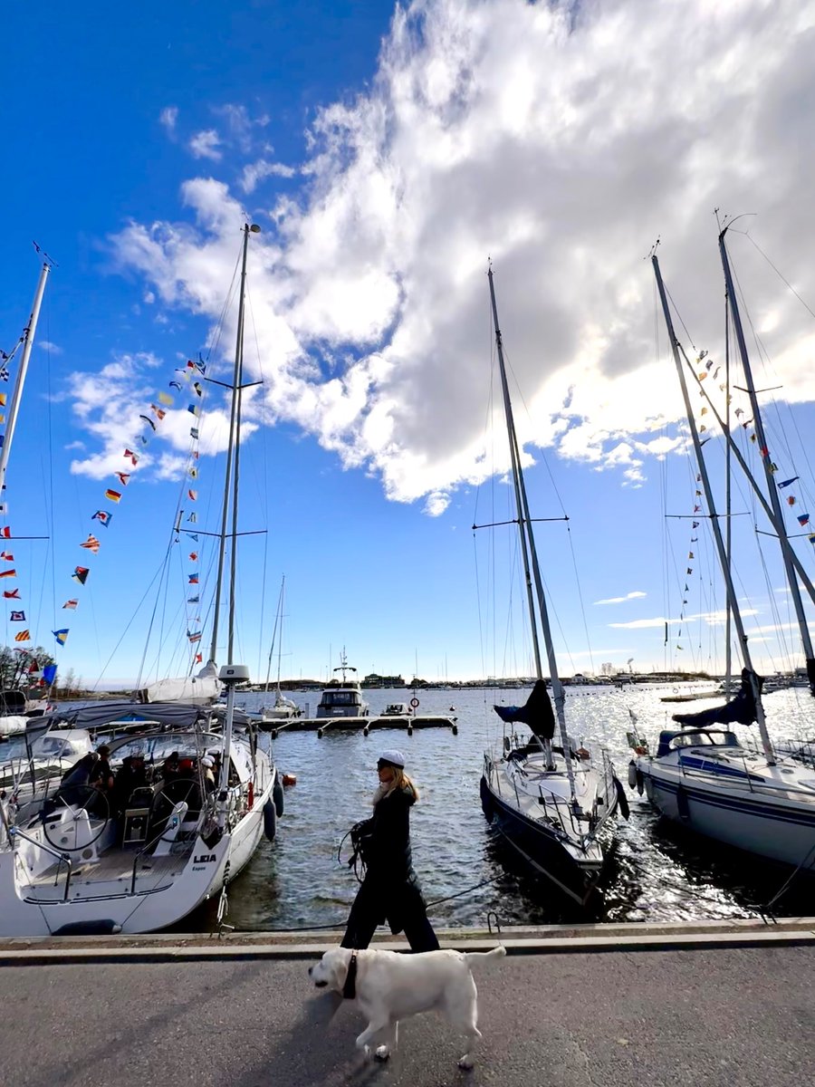 Belen Sapag M. tweet media