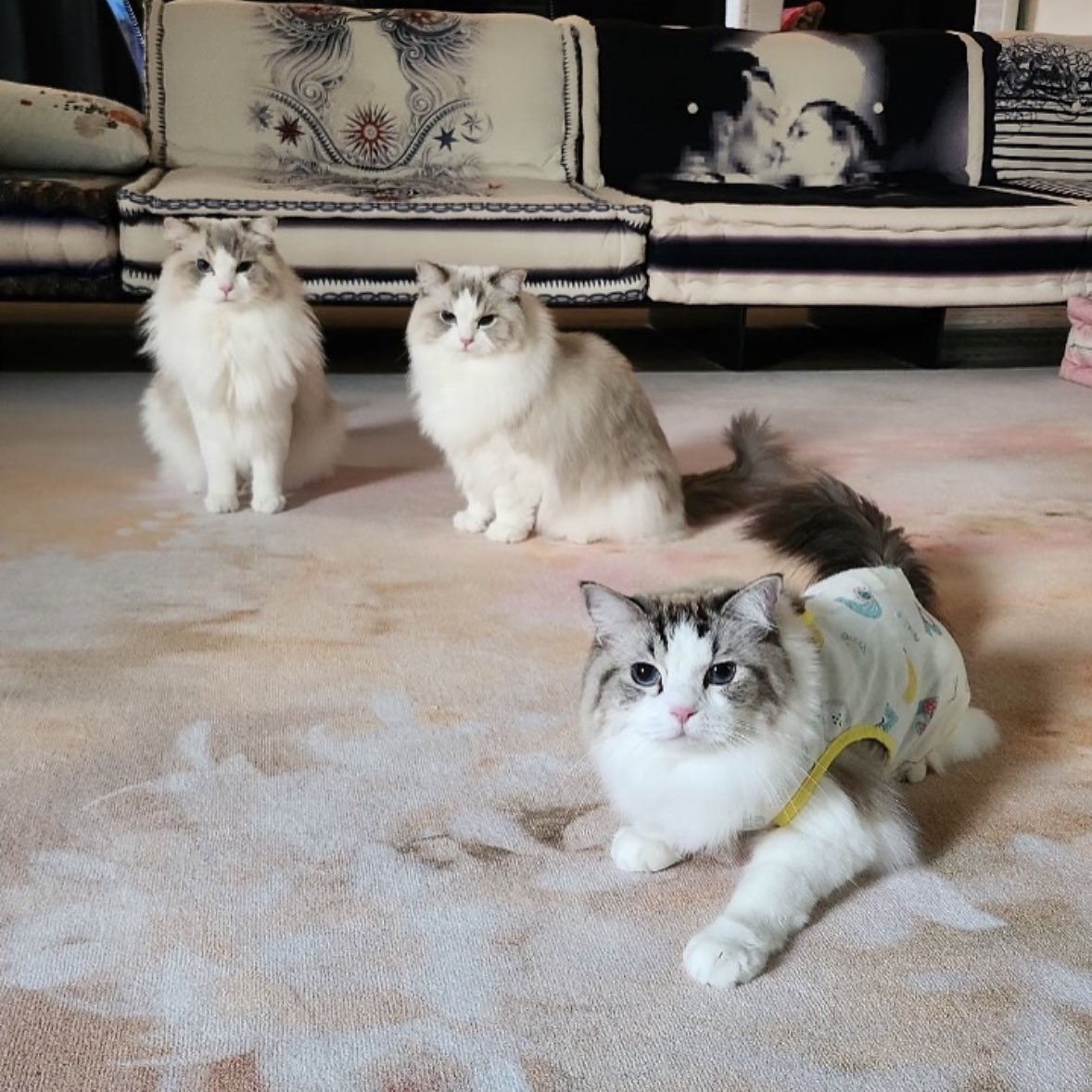 루루루 보고싶었어~~