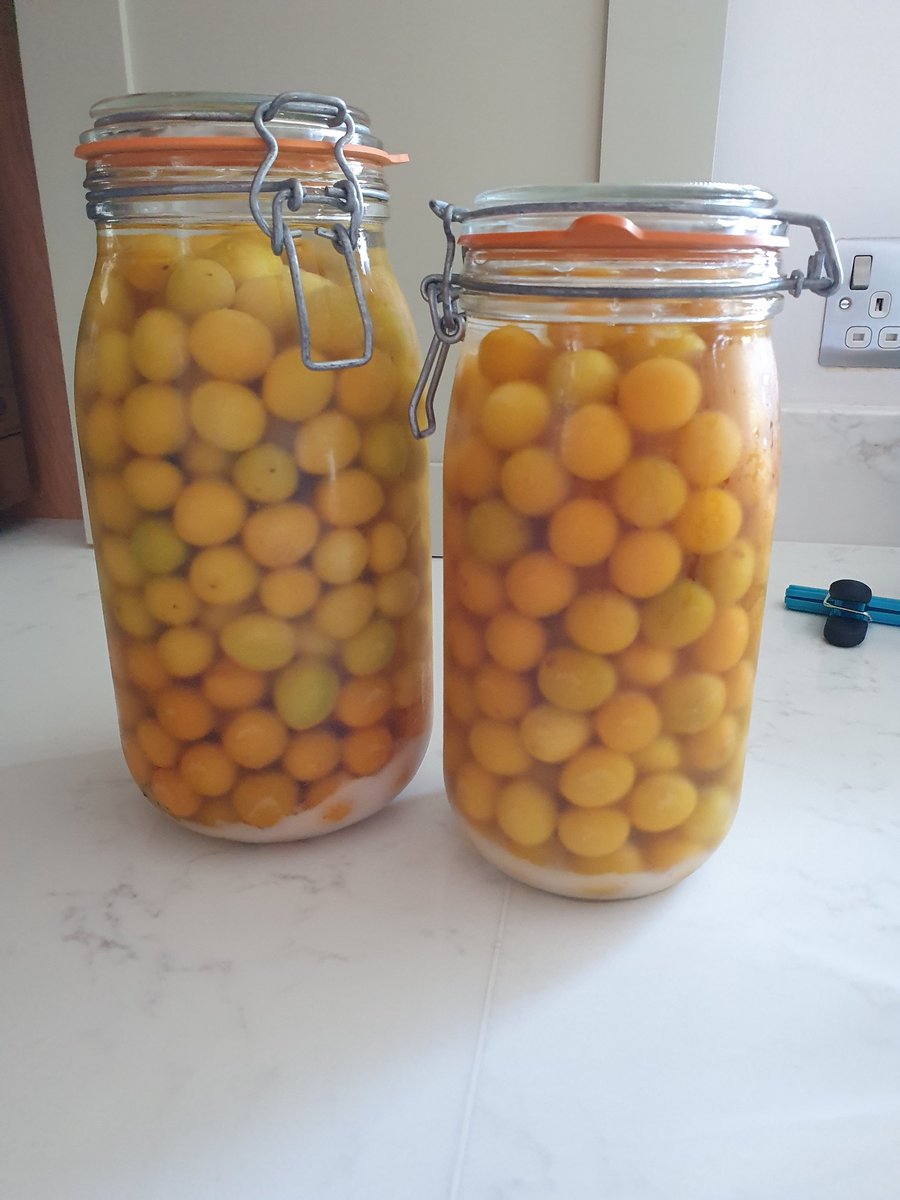 And so it begins 
#MirabellePlumGin