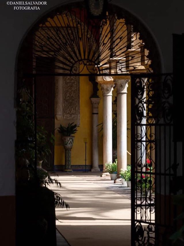 Palacio de Dueñas. Sevilla.