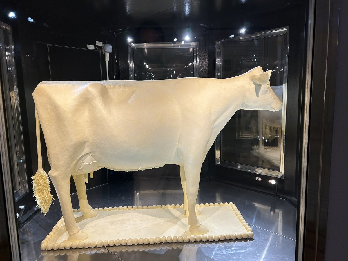 ChrisVondracek's tweet photo. We’ve got #AgArt in the Smithsonian in time for my grieving over missing the Minnesota State Fair.
Here’s “Butter Cow” (albeit an Iowa creation, tho with NEW ULM butter). Stoic wonder to behold in person. https://t.co/x6l5ogDCOD
