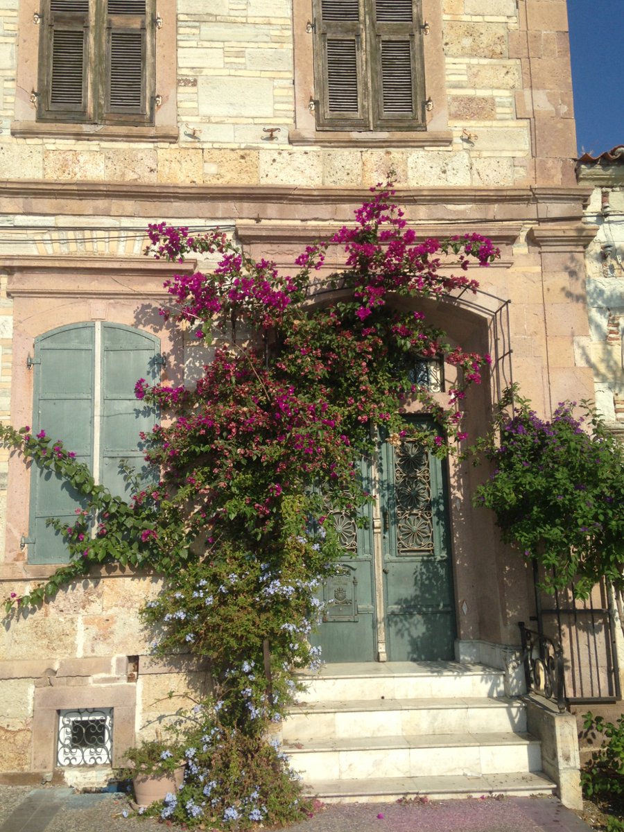 sırtımızda altından tasmalar 
gönlümüzde yanık çiçek izleri 
Kıpçak hançeri boynumuzda 
ölsek diyorum, yan yana...
böyle ayrı yaşamaktansa...
gözlerini dikiyorsun
ölüm kayboluyor
bahar geliyor toprağa
elini yüzüme koyuyorsun
menekşeler dökülüyor yüzüme