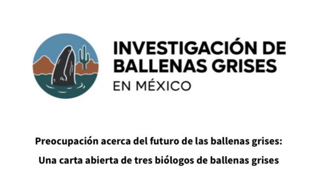 Programa de Investigacion de Mamíferos Marinos tweet media