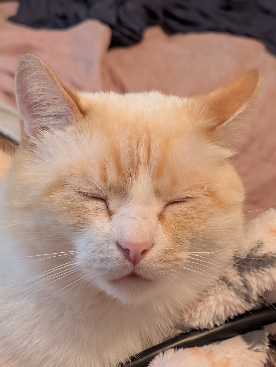 His blankies match his nose