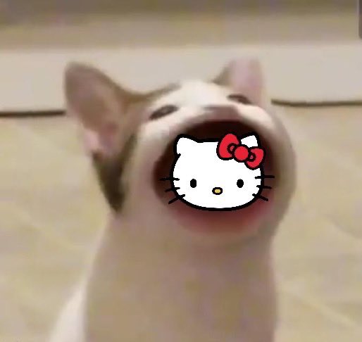 트윗에 대한 리플로 공유된 Popcat 밈 이미지