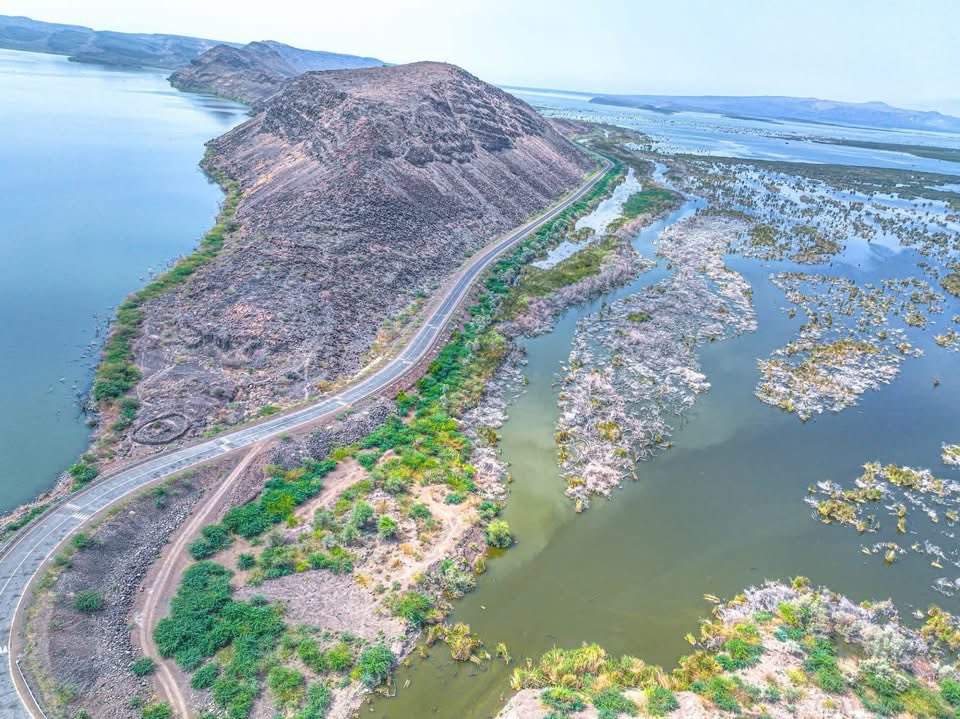 WadeUsman's tweet photo. አፋምቦ የአዋሽ ወንዝ መዳረሻ 
የአዋሽ ወንዝ በርካታ ኪሎ ሜትሮችን አቋርጦ ትልቅ ሃይቅ ሆኖ ለጥ ብሎ ያረፈበት ይህ በአፋር ክልል አፋምቦ የሚገኝ ውብ ቦታ፣ ቀልብን ሰብሰብ የሚያደርግ ልዩ ስፍራ ነው። https://t.co/7i6WATj6kY