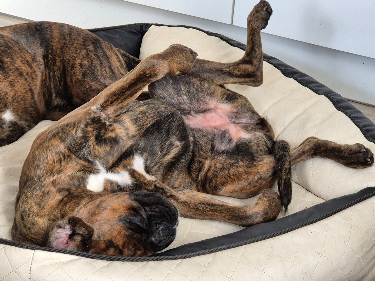 Schlafstellung #6.193