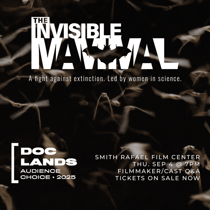 Max It Magazine tweet media