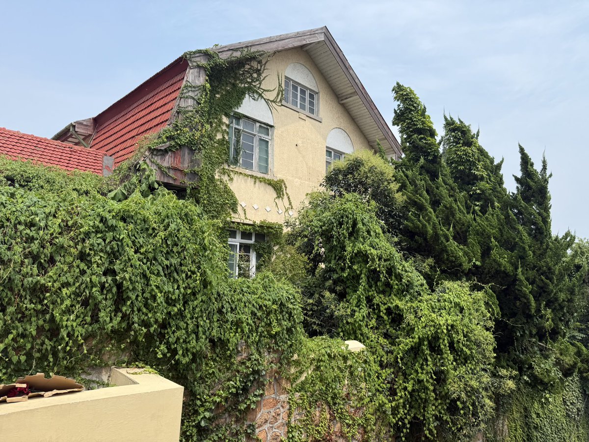 Stairways whisper history, concert halls hum with time, vine-clad houses hide stories, and alleyways breathe life—Qingdao’s soul lives in these quiet corners.