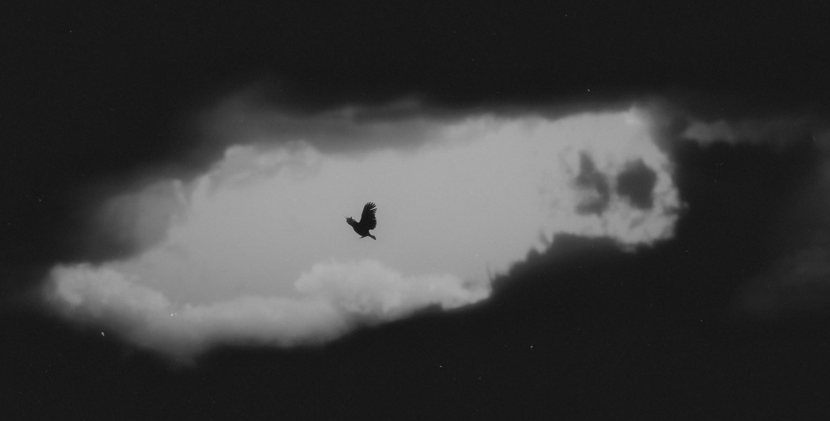 𝗘𝘃𝗲𝘆 tweet media