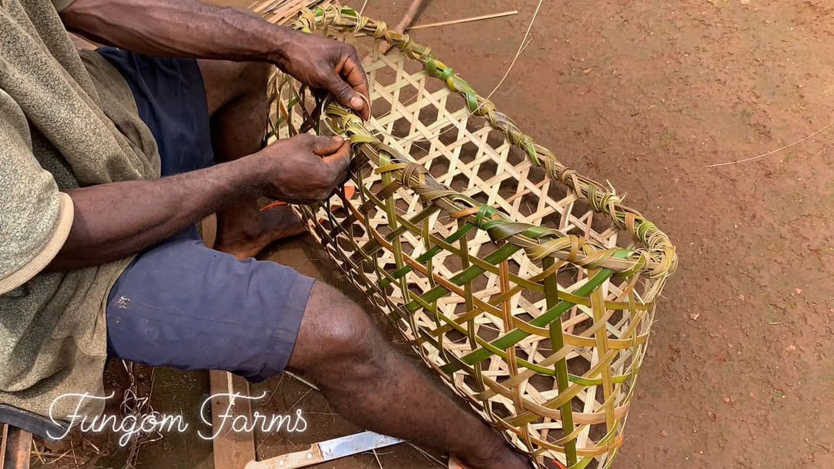 FungomF's tweet image. In the #Mekaf village, Fungom Subdivision of Cameroon 🇨🇲 David #transforms locally sourced bamboo to produce baskets that serve in transportation of farm produce and animals. A skill he&apos;s been able to live from and sustain his family with the proceeds he gets from the business