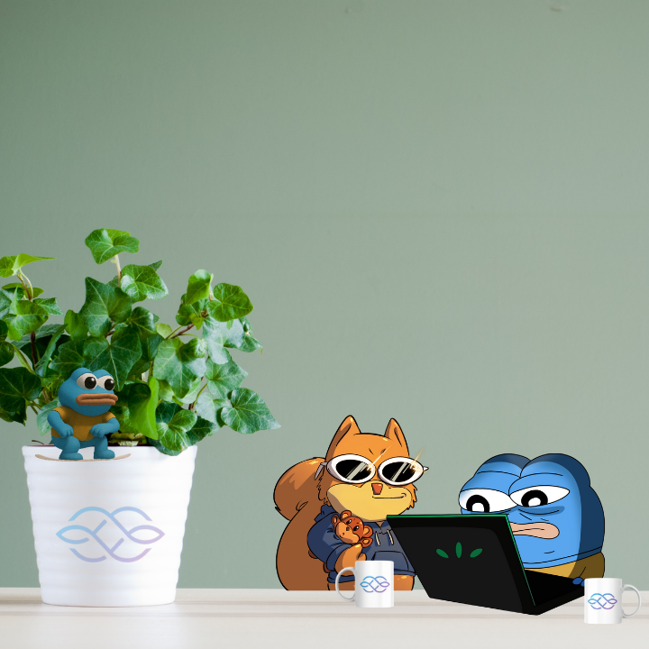 BTCBLESSING tweet media