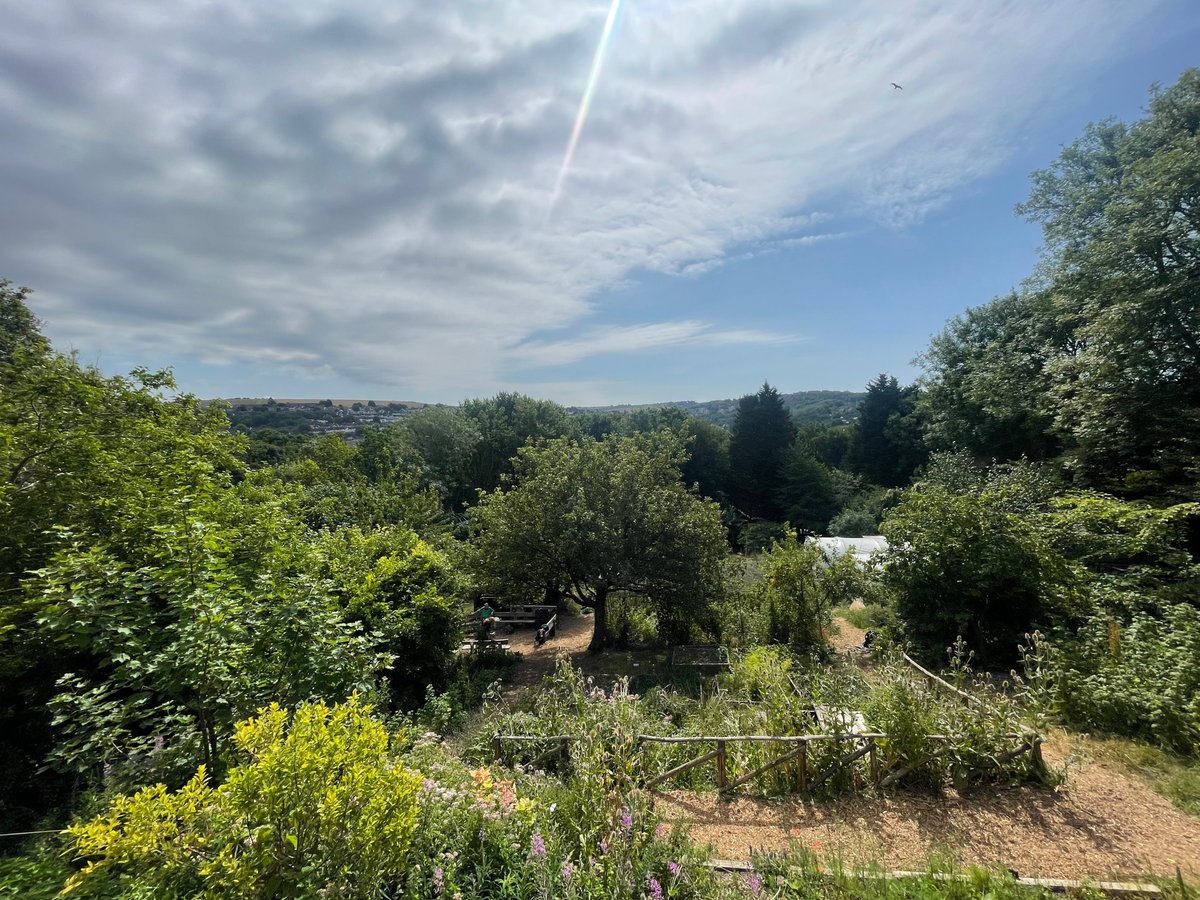 Sian Berry tweet media