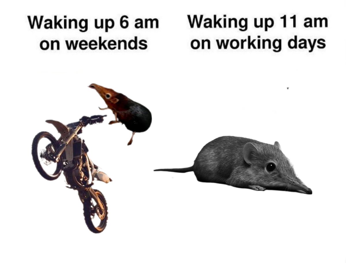 Kinda lazy ah? 😂

$shlorp