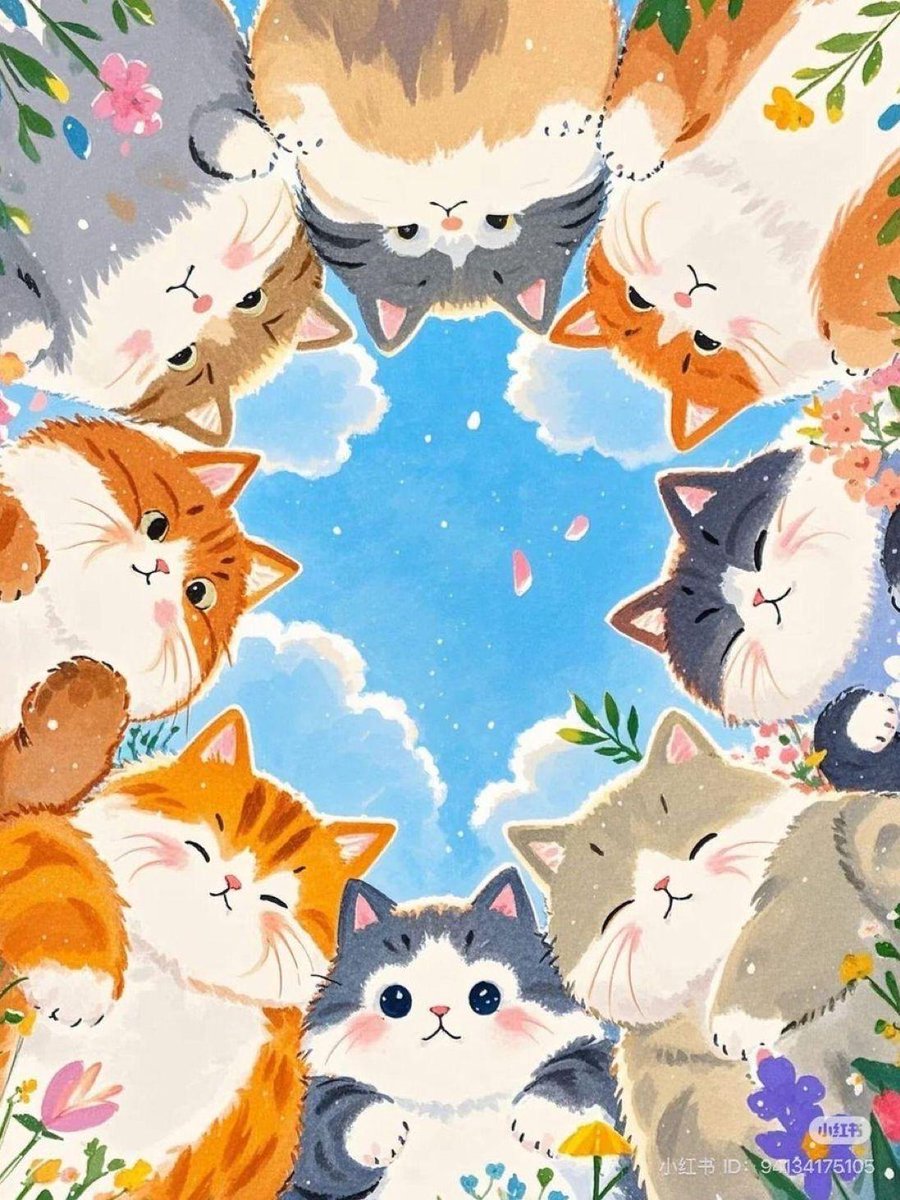 only cute things (@cutedreamvibes) on Twitter photo 