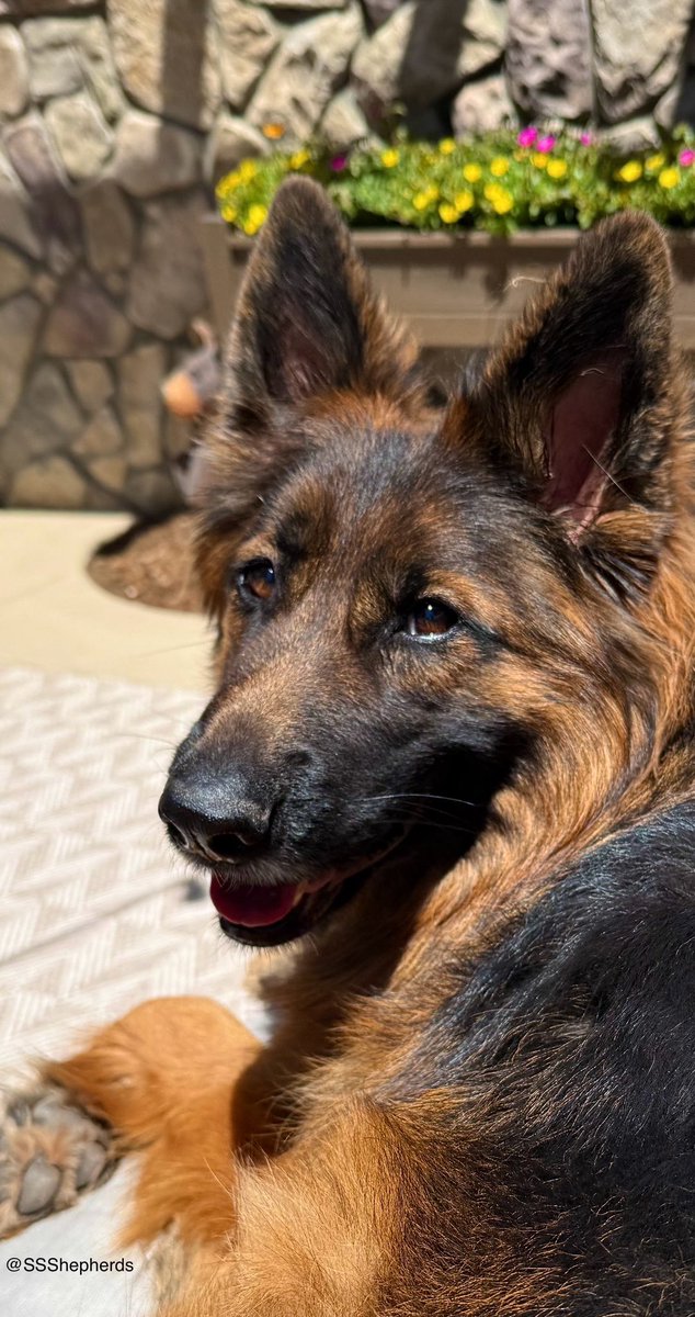 Smile, everypawdy, it’s Friyay… the weekend is on its way! 🤗