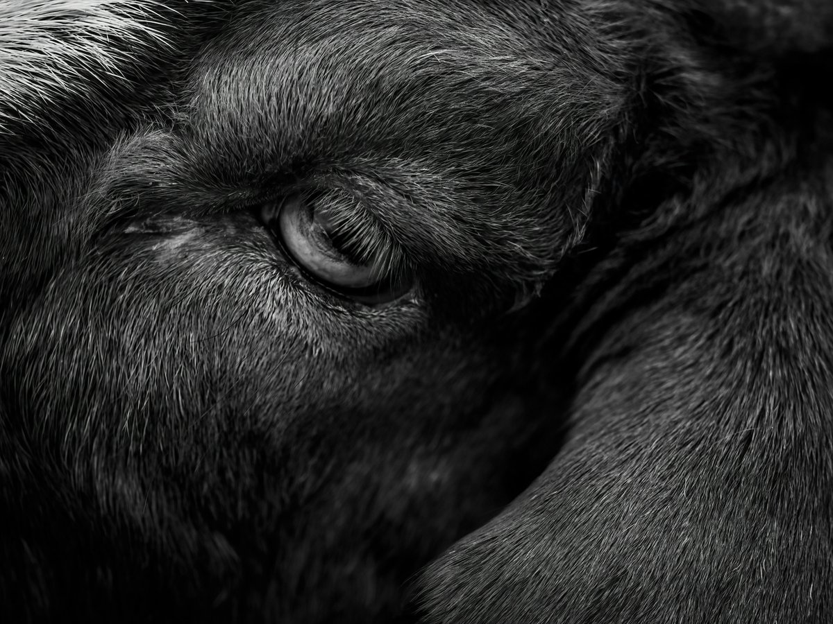 monkeybicycle tweet media