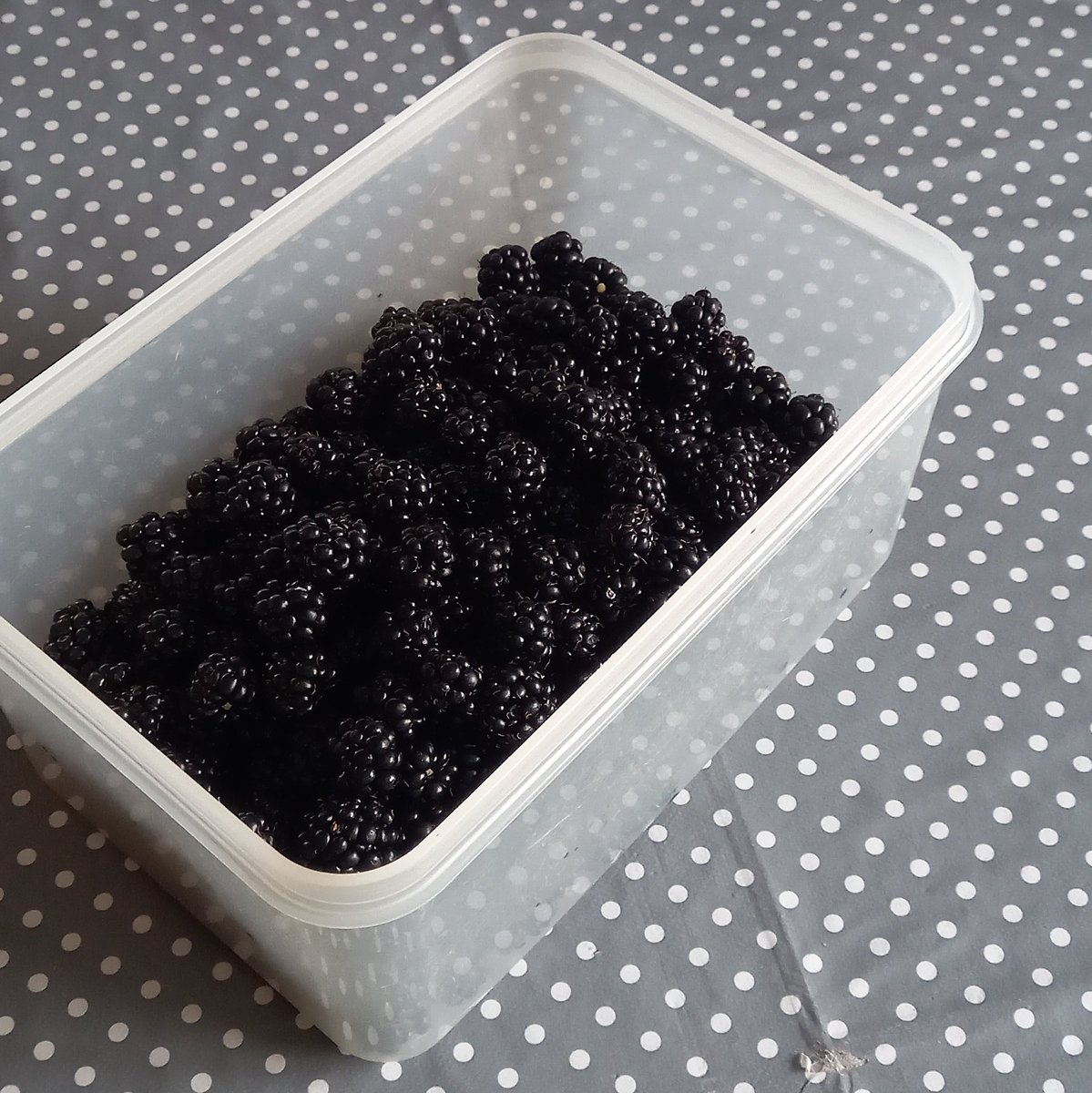 I miss <a href="/HeaneyDaily/">Seamus Heaney</a> on here !