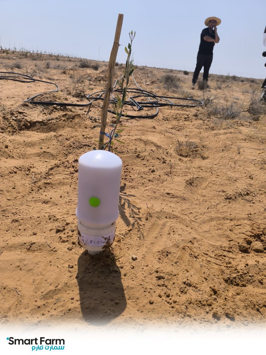 SmartFarmTN's tweet photo. 🌿💧 À Médenine, au cœur du sud tunisien, là où le climat met l’agriculture à l’épreuve 🌞🌵, Smart Farm continue à croire en l’innovation.
👉 L’avenir de l’agriculture se construit partout, et surtout là où l’effort compte le plus.
+216 20 340 241 https://t.co/2qiUZwmneM
