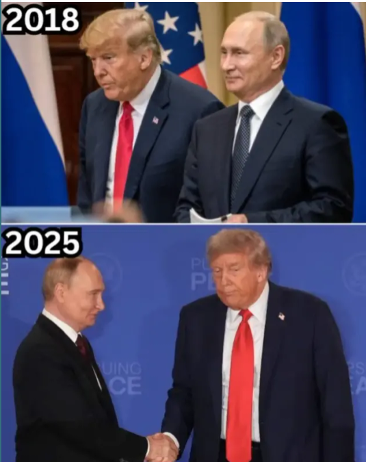smc429's tweet photo. Does Pedo-47 intentionally try to look stupid when Putin is next to him? It's like looking at Ramsay Bolton with Reek. https://t.co/z6ZvHRUceY