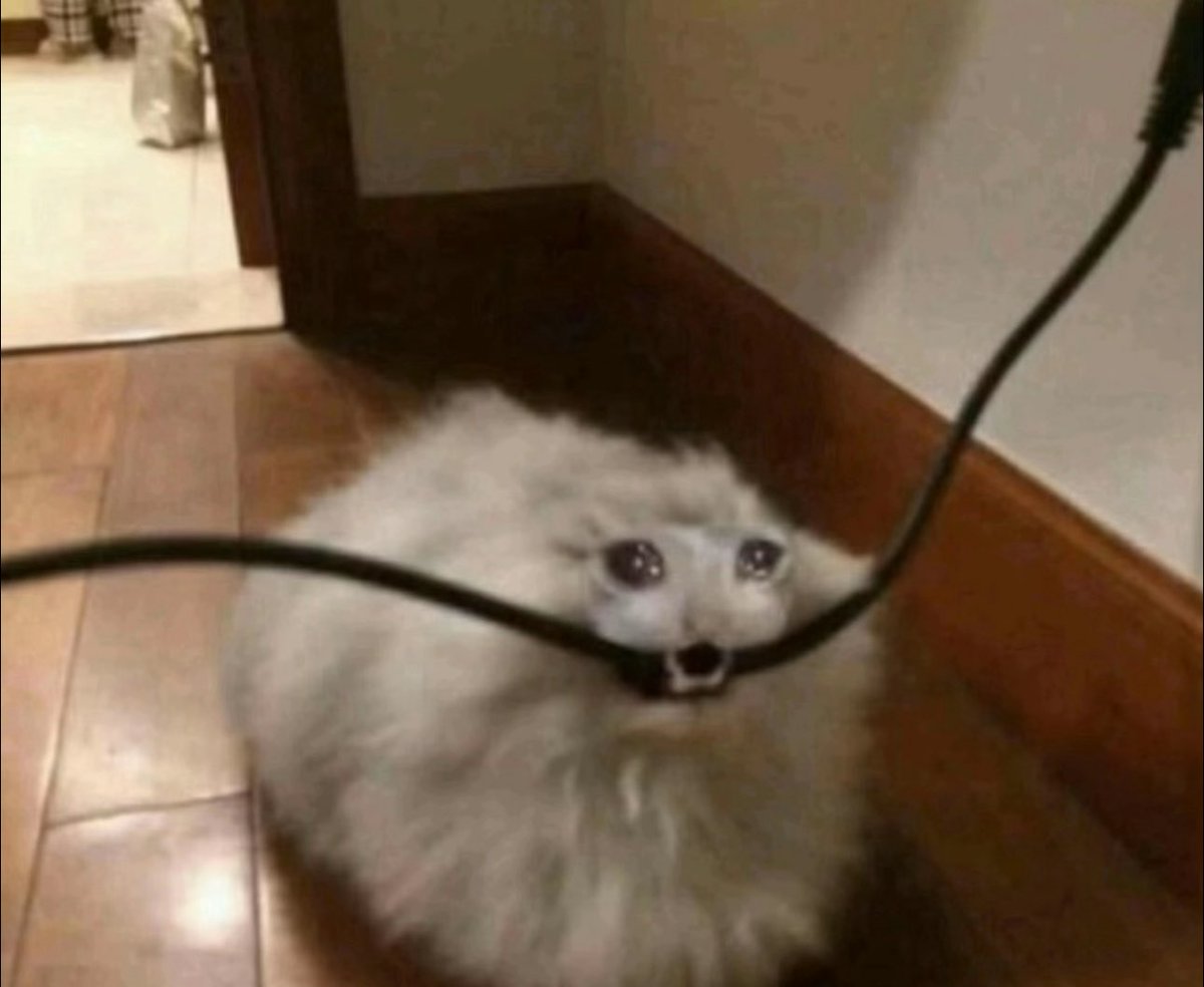 Me setting up my new washer and dryer and realizing that whoever designed the laundry room put the dryer vent and the dryer outlet on opposite sides of the room. 💀