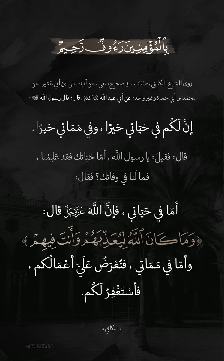 Elkafei's tweet photo. https://t.co/zIk9a9kQsV