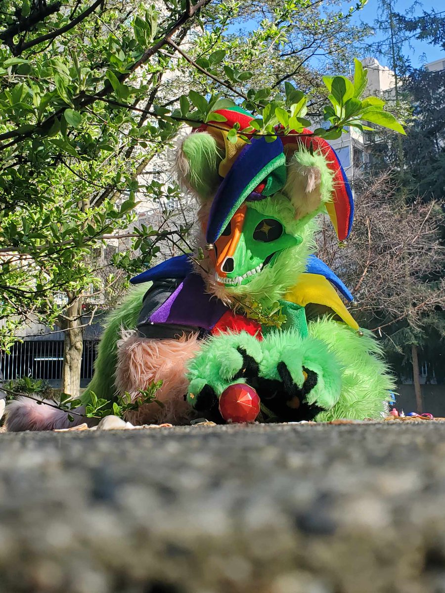 Xeonalove867's tweet photo. #FursuitsFriday happy fursuit Friday from jesterjolly the skulldog ✨️✨️ https://t.co/ibPX4E3Gz3