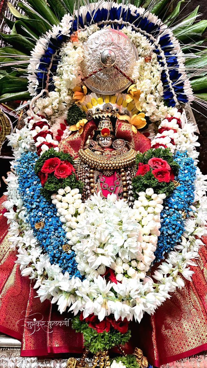 She is आद्यशक्ती 🙏🏽🪷
Out compassion she manifests in different forms for devotees

तारा शक्ती अगम्या शीवभजका गौरी 
सांख्य म्हणती प्रकृती निर्गुण निर्धारी ।
गायत्री नीजबीजा निगमागमसारी 
प्रगटे पद्मावती निजधर्माचारी ।।🪷🙏🏽