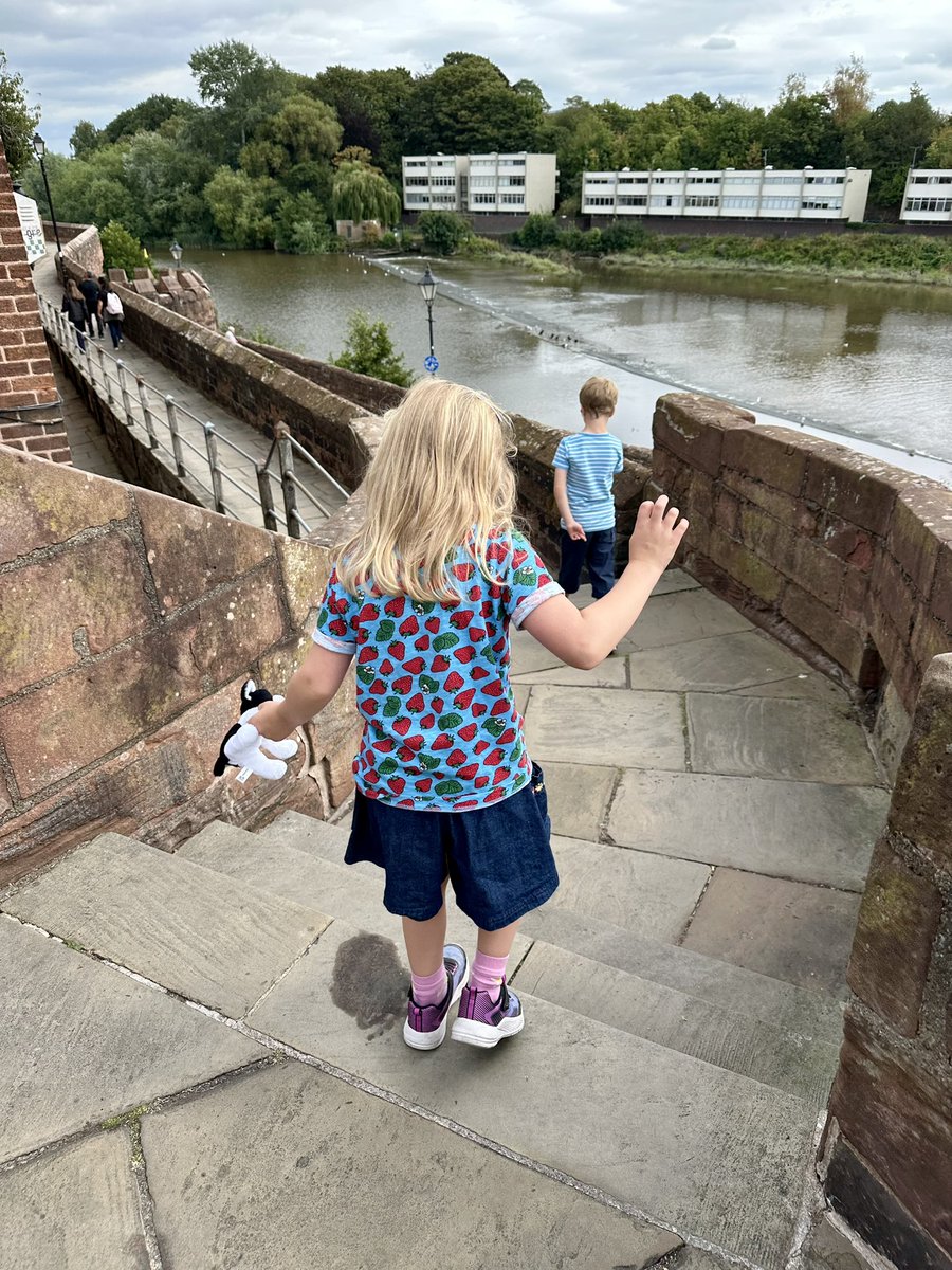 shellienic's tweet photo. Today p2: After we pulled the kids away from playing trains we walked the Chester Walls, before stopping for a late lunch. A little shopping & then back to the station for our journey home. #OffDutyTrainDriver #Chester #ChesterWalls #WalkTheWalls #RomanCity #GettingOurStepsIn https://t.co/jtY3HvyOBp