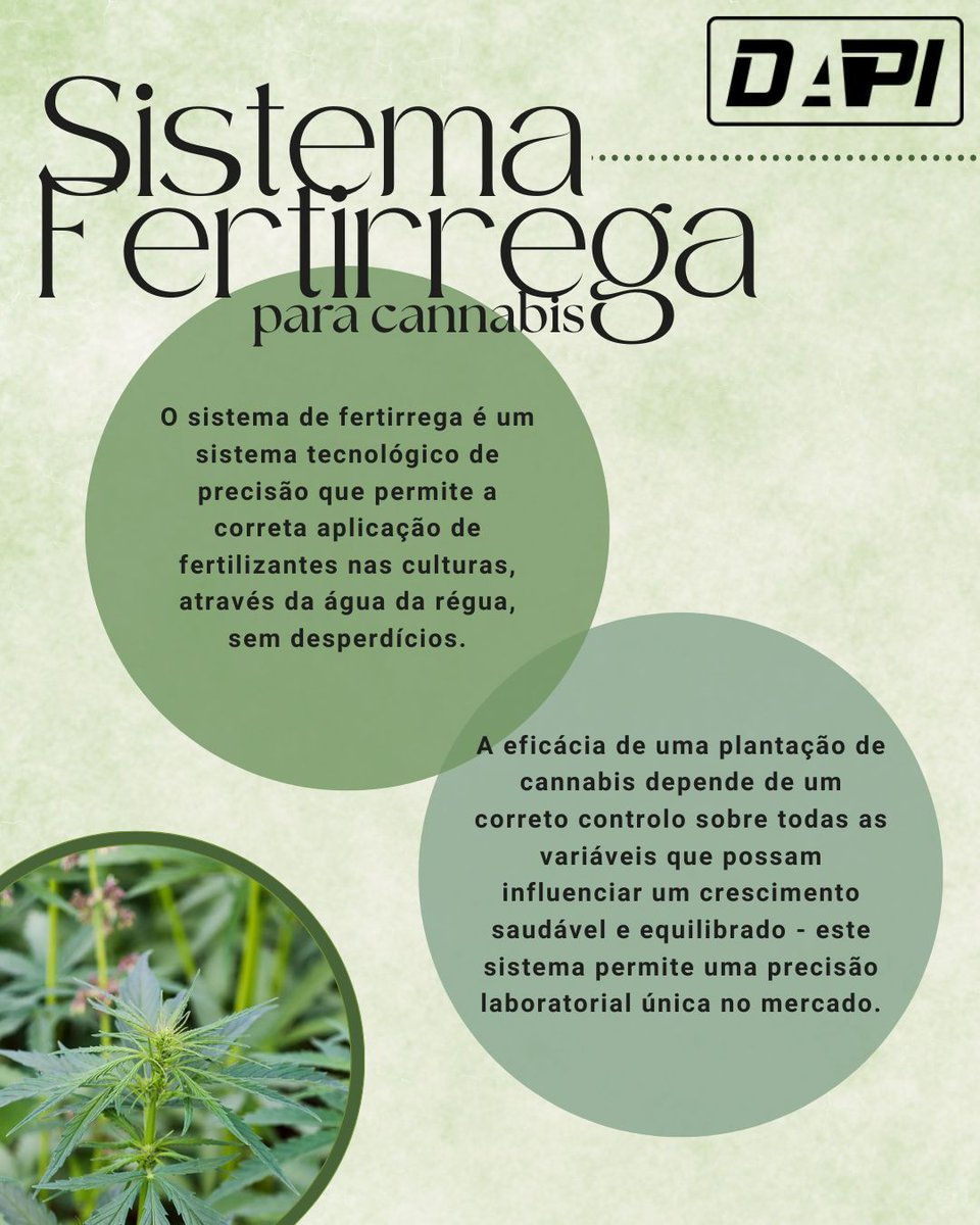 DAPI_lda's tweet image. 🌱💧
#DAPI #DapiLda #Portugal #Tecnologia #Inovação #Agricultura #CannabisMedicinal #Confiança #DesenvolvimentoTecnológico #Fertirrega #CultivoAutomatizado #InovaçãoAgrícola #Cannabis