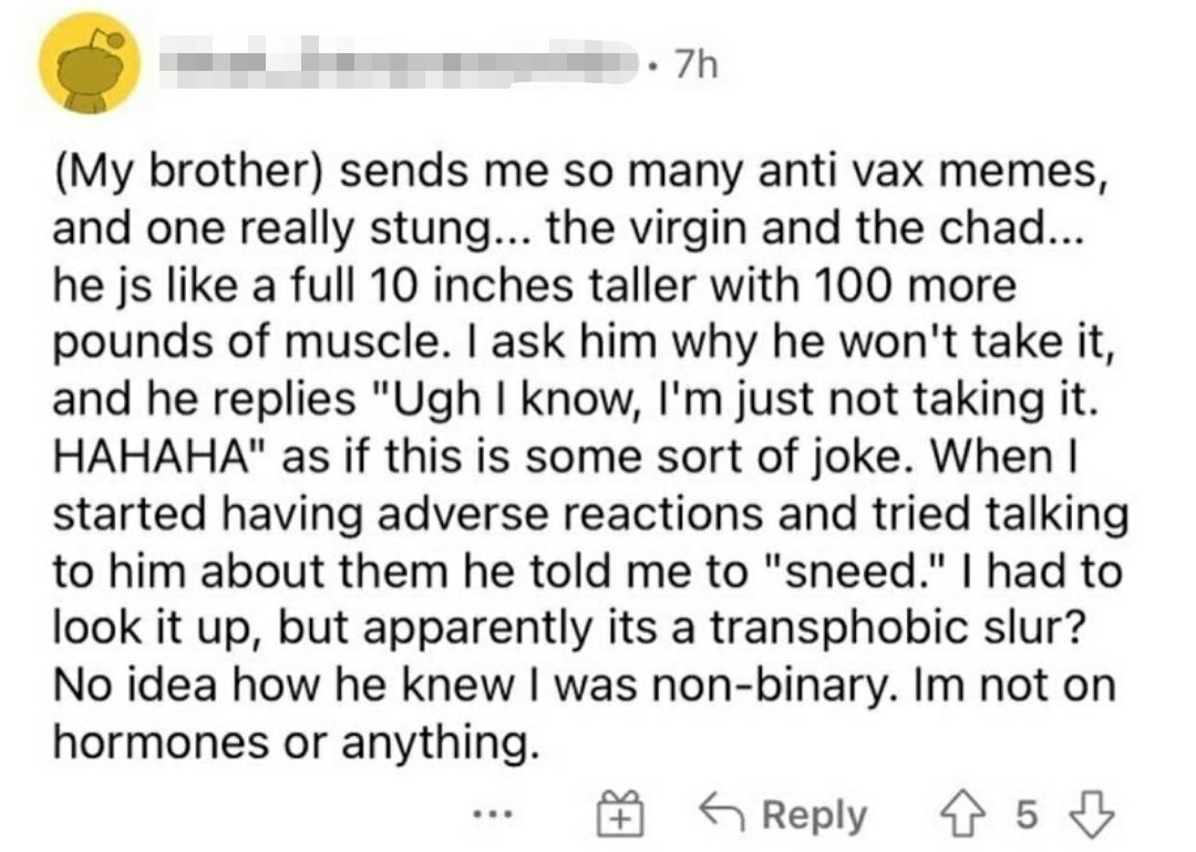 Redditor gets mogged by brother