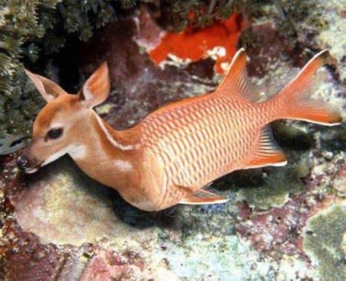 How’d I shift shape like that