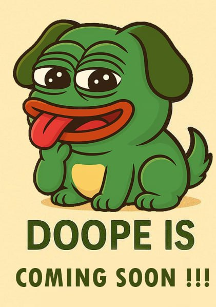 SAFIA CRYPTO tweet media