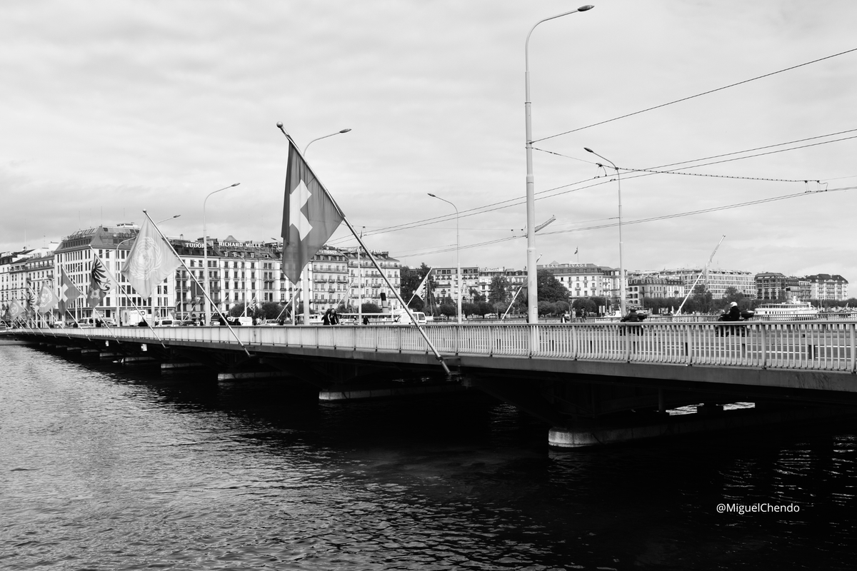"Puente" 📸

Ginebra, Suiza 🗺

más en: miguelchendo.com/portafolio-fot…

#blackandwhitephotography #photograph #fotografia #fotografía #photography #photographie
