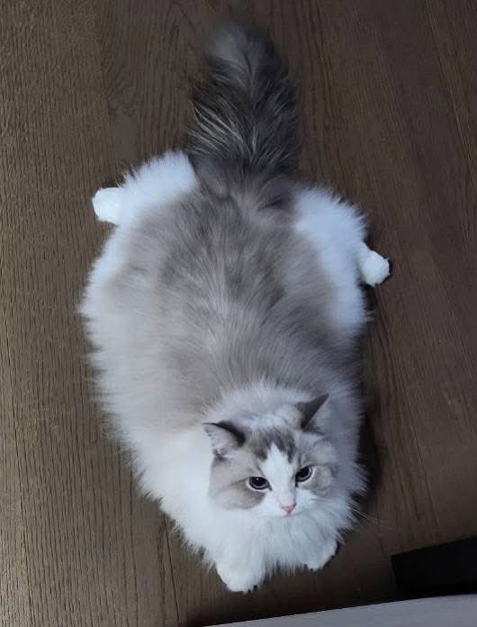 Day 1                                                   One day