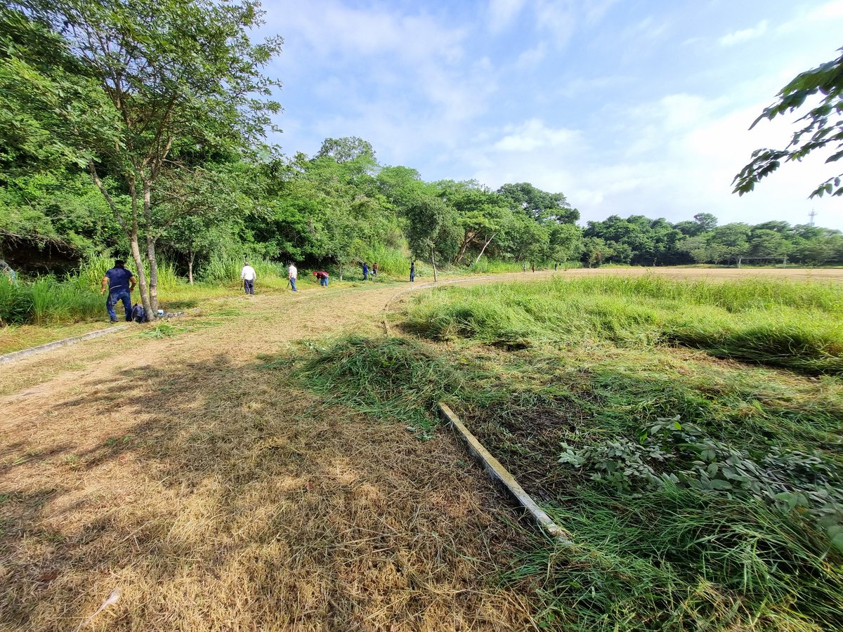 #FaenaPadresDeFamilia 
Agradecemos a los padres y madres de familia de primer semestre  del grup A, B, C, y D por la faena realizada hoy en nuestro plantel. 🌱💚
Su apoyo es fundamental para mantener nuestras áreas verdes limpias. 🌿✨
#SomosUnEquipoTransformandoElFuturo