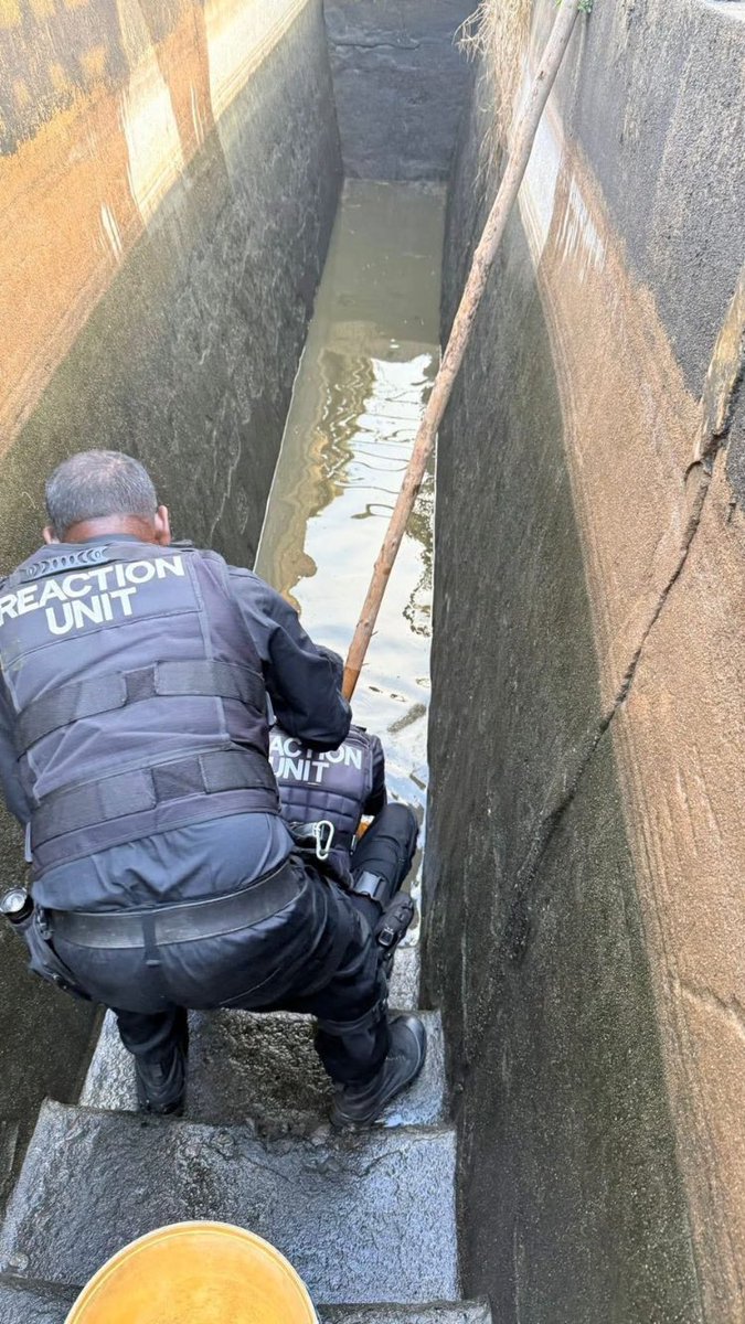 Date - 22 August 2025

Reaction Unit South Africa 

Five (5) Year Old Girl Found Dead In Cattle Dip
Ndwedwe - KwaZulu Natal 

The lifeless body of a five year old girl was retrieved from a cattle dip pit by Reaction Officers in Ntapuka, Ndwedwe - KwaZulu Natal today (Friday).