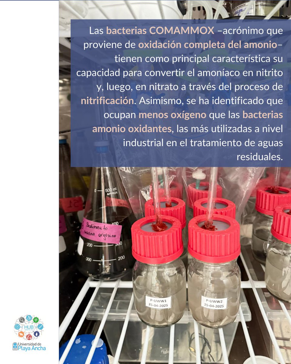 HUB Ambiental UPLA tweet media