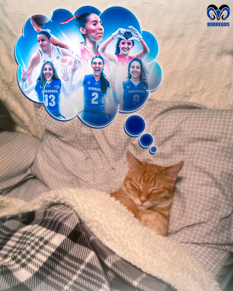 borregostec's tweet image. Seguimos pensando en ORO. 🤩🏆🇲🇽

#OrgulloBorrego #SomosBorregos #BorregosCSF #FlagFootball #dreaming #méxico