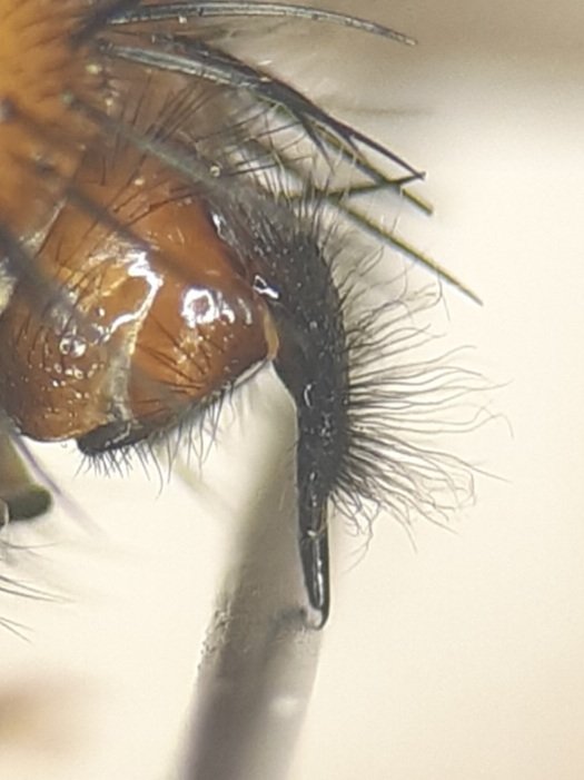 David Basham tweet media